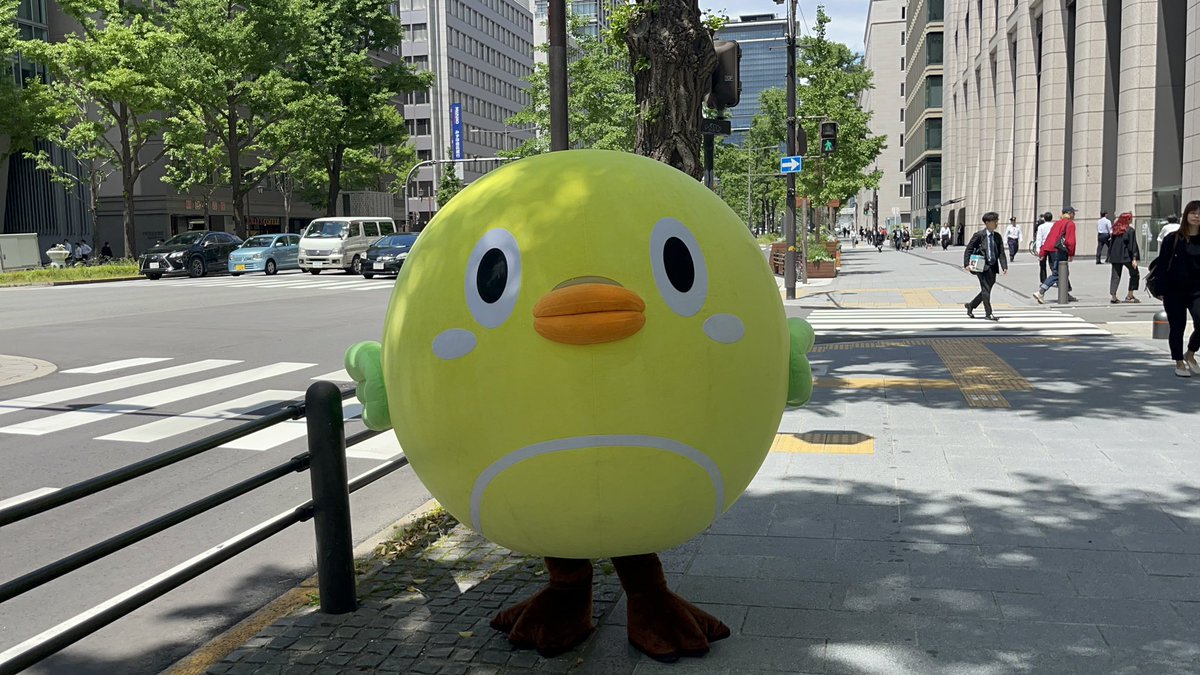 TENNISUGU's tweet photo. 御堂筋歩くの気持ちいいスグ

「テニスボールが歩いてる、、、」って言われたらけど、スグの助スグ！！！ https://t.co/igCsydcOjs