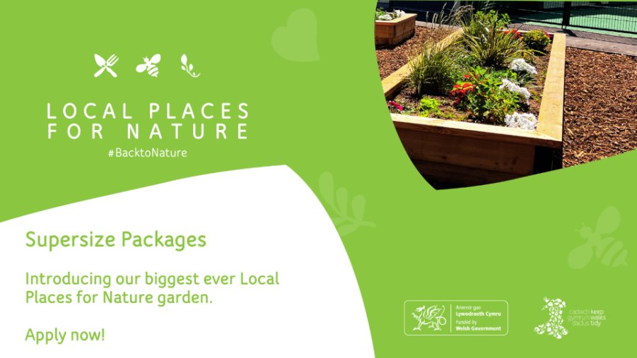 Introducing our biggest ever Local Places for Nature garden! 🌱😍 The Supersize Packages 🌳 Visit our website to find out more: keepwalestidy.cymru/our-work/conse… #BacktoNature