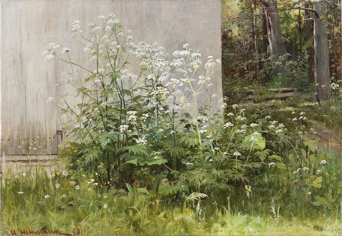 Bloemen bij een schutting (1880).

🎨 Ivan Sjisjkin