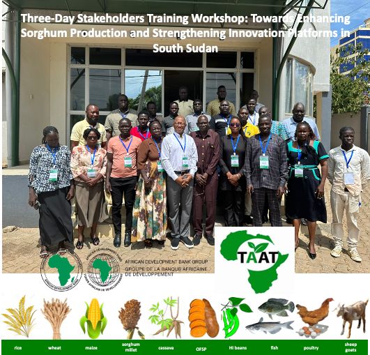 🌱Dr George Tadu, Director General of Agricultural Research of @mafs_ss, opened the #TSF and #TAAT Stakeholder Training Workshop Meeting: Enhancing Sorghum Production and Strengthening Innovation Platforms, emphasizing South Sudan's commitment to agricultural transformation.