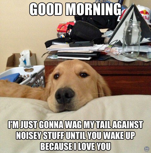 Gm to all #Doge fam ☕️🌞 one love to you all 🫶❤️ #doonlygoodeveryday