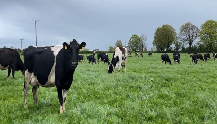 Teagasc tweet media
