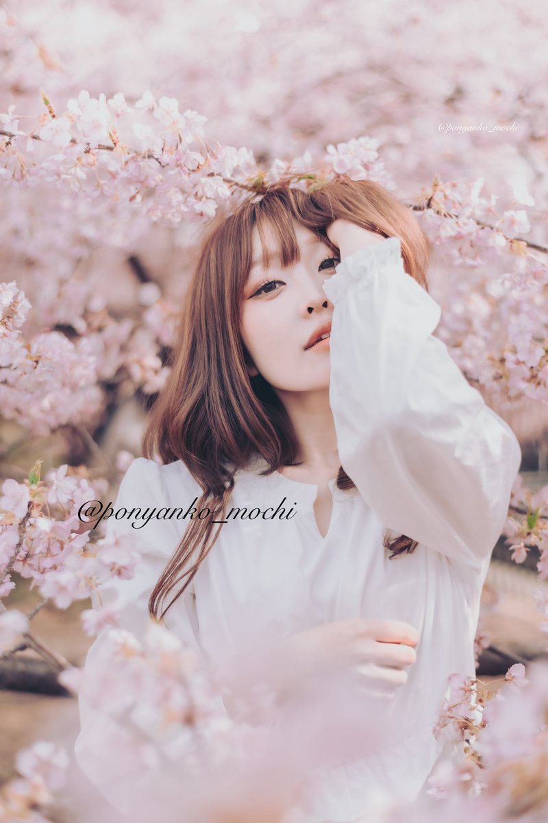 #桜 #cherryblossoms Model：初音（@hachaaan0511）