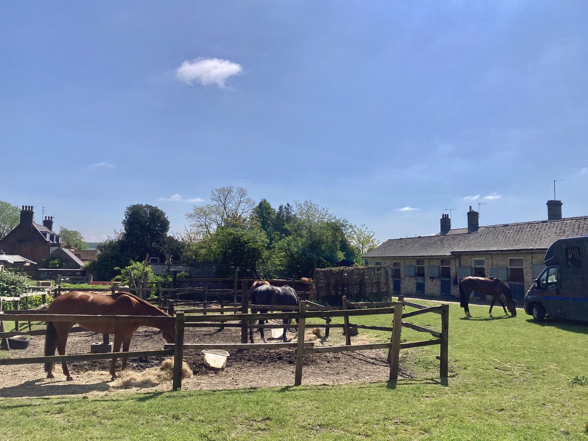 Right on cue, the clouds cleared midmorning and it’s another lovely day in Newmarket. Currently 15 degrees, forecast high 19 #HiddenPearl #FlyingStar #Merrijig