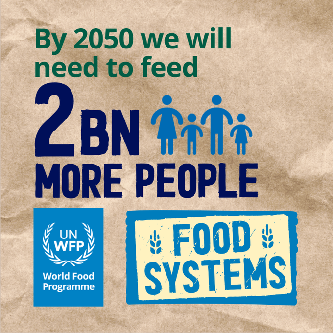 Achieving global food security requires more than just immediate humanitarian assistance.  

It's about making food accessible, available, and affordable for all, everywhere.  

WFP supports stronger, more resilient, and inclusive #FoodSystems around the world. 🌏