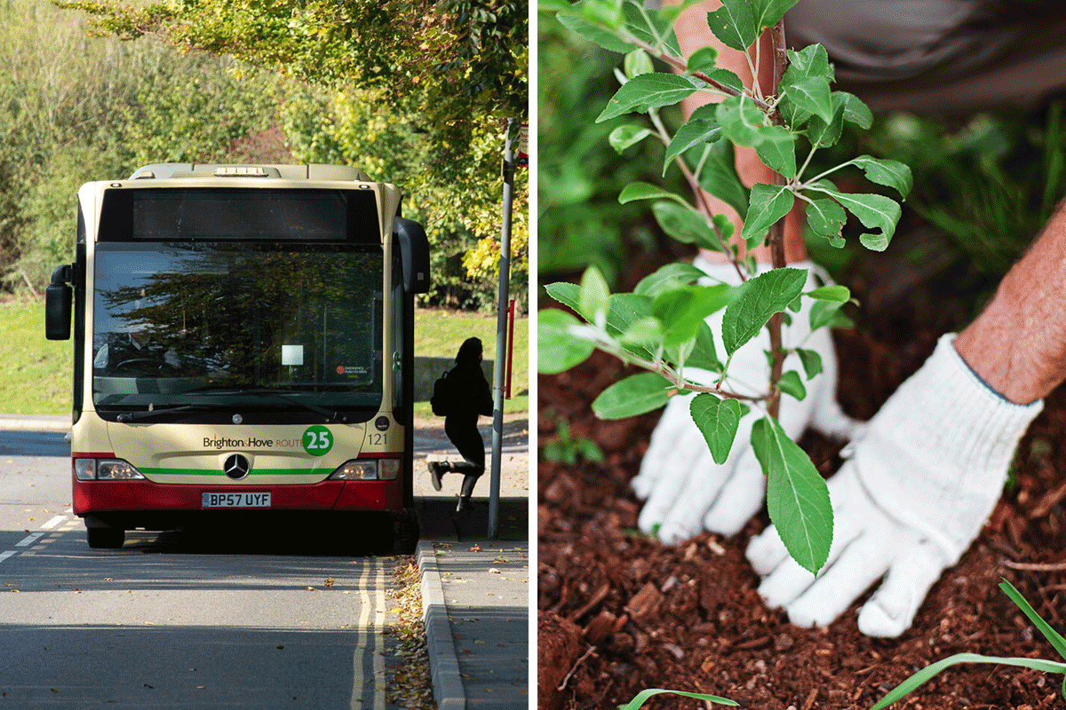 We planted 1171 trees as a thank you to visitors travelling to our Open Days by public transport in 2023 🌳💚 & we're pledging to plant more if you travel by bus or train to our 2024 Open Days. 🗓️ Next Undergrad Open Day is Sat 15 June - find out more👇 sussex.ac.uk/about/sustaina…