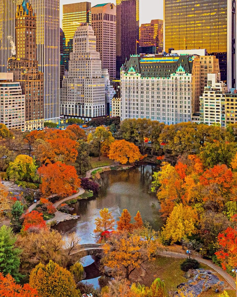 Central Park, New York 🇺🇸