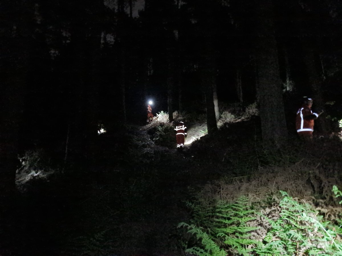 WMFS International Search and Rescue (ISAR) Team tweet media