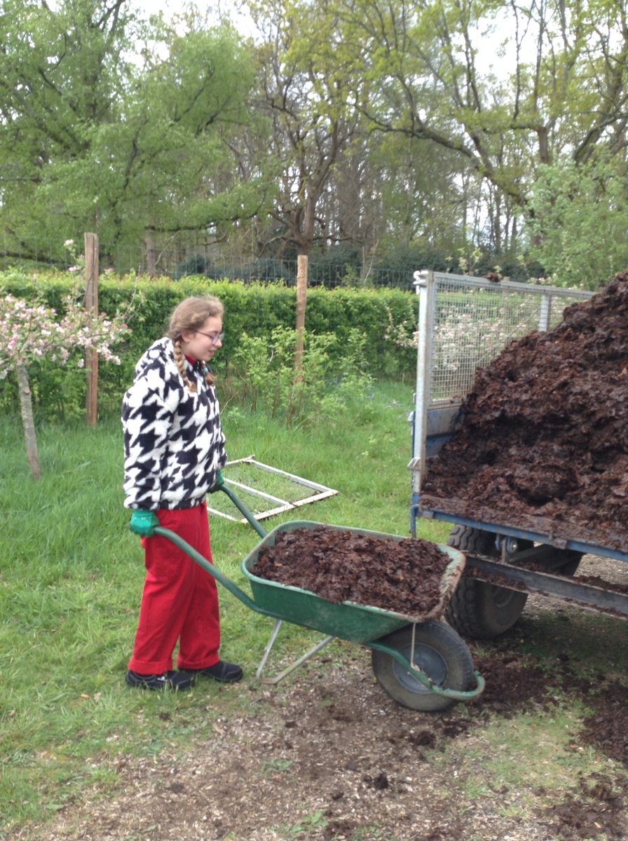 Recently some students took part in our Garden House project. They worked fantastically as a team and they got the job done! 

This week's job was moving all the mulch to place under all the apple trees in the orchard. 
#workexperience #outdoors #Gardening #cranleigh #incluison