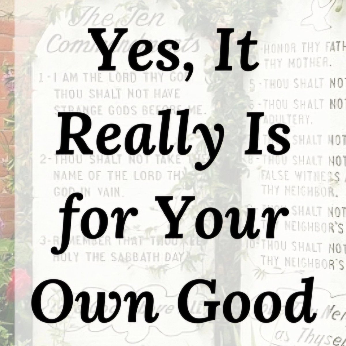 Good morning! Yes, everything is working for your good, the good, and the bad. Pursue peace in the midst of it all, and be at peace with everyone for PEACE sake. #foryourgood #seekpeace #helpinthehouse #Solutionist #iamaningredient #JusticeGeneral