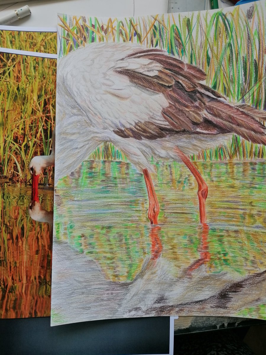 Gm gm my dear fam
I I've almost finished my new artwork stork, in Lake.
Realized by colorspencils 
This artwork will be as soon on @OmniFlixNetwork
Look at my printed artworks too on silk's scarf at Lyon.
farnazcollections.com
@chroniclesvault
#thechronicles
#nftfarnazpishro