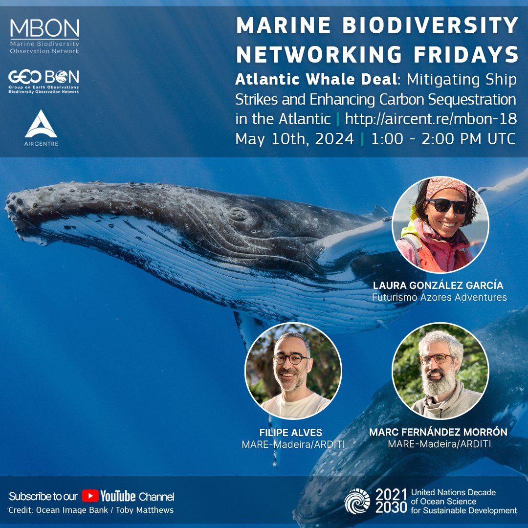 Tune in this Friday to hear how our research is helping to reinvigorate carbon sequestration in the Atlantic! youtube.com/watch?v=YPn2EE… 

Featuring Filipe & Marc from our Marine Megafauna & Open Ocean team 💪 

#carboncapture #marinescience #whales #conservation @MAREscience