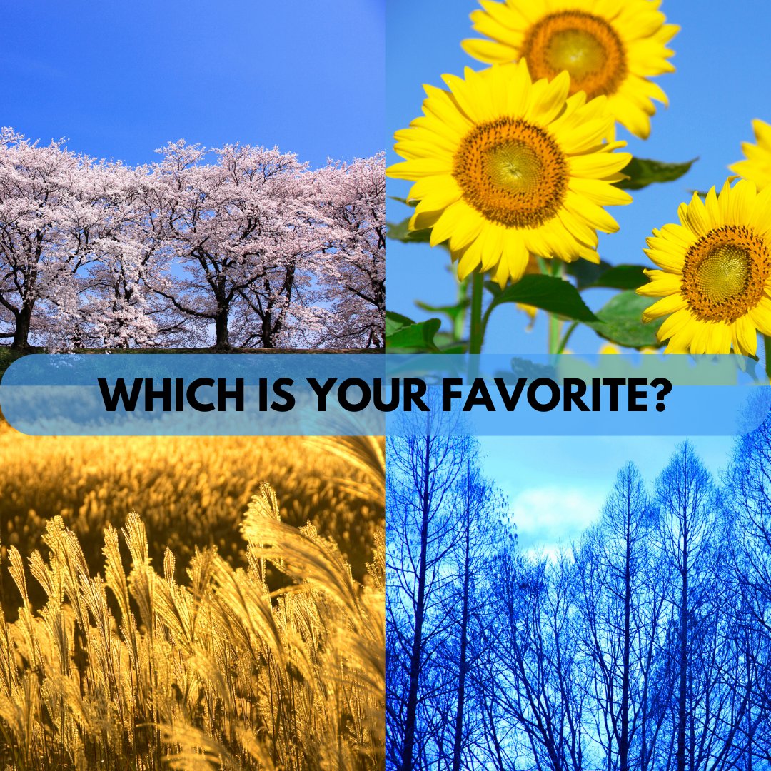 Which is your favorite #summer #winter #spring or #fall?

#seasons #thisorthat #vote #poll #PollOfTheDay