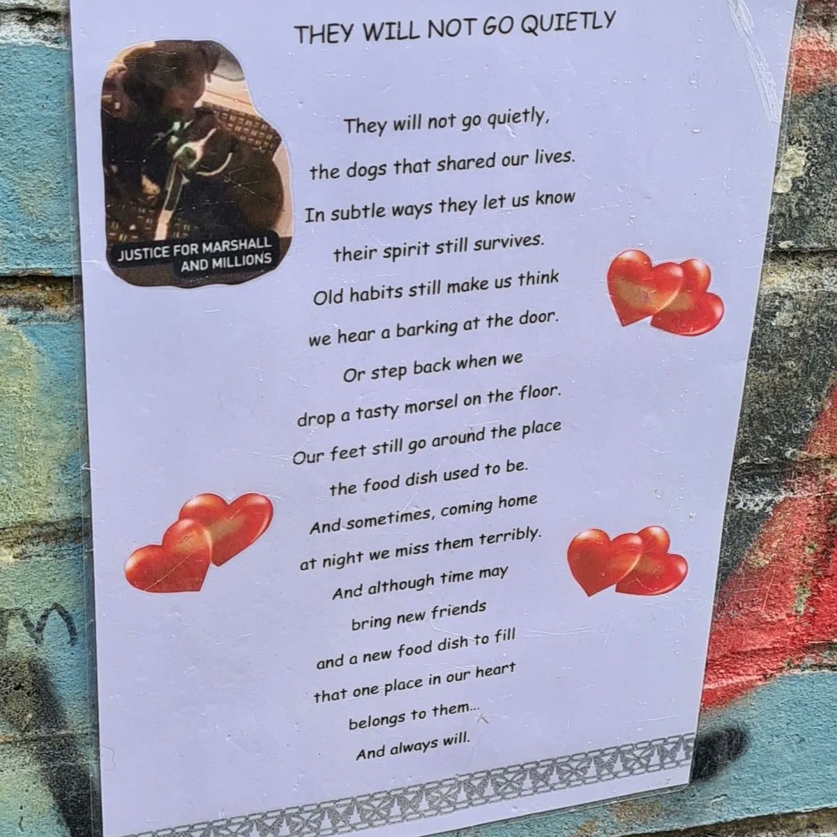 Absolutely beautiful and very emotional day yesterday as we marked the 1st anniversary of Marshall and Millions's tragic killings in Limehouse, East London.

Beautiful, precious boys forever in our hearts 🌈🪽🕯🌹🦋🦋🐕🐾🐕🐾💙💙🎗🖤

#justiceformarshallandmillions