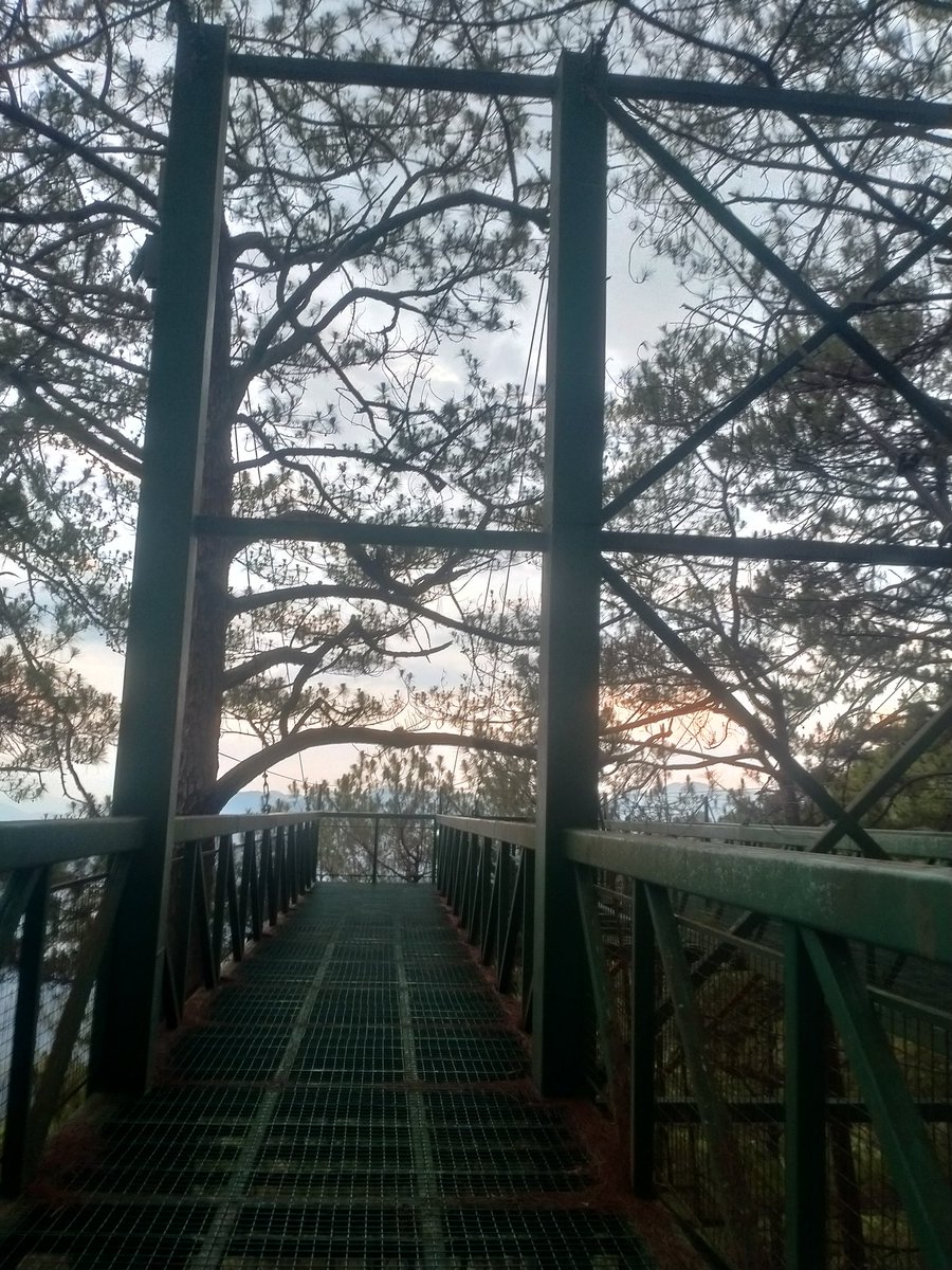 boybike5 tweet media