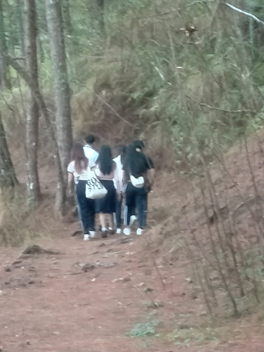 boybike5 tweet media