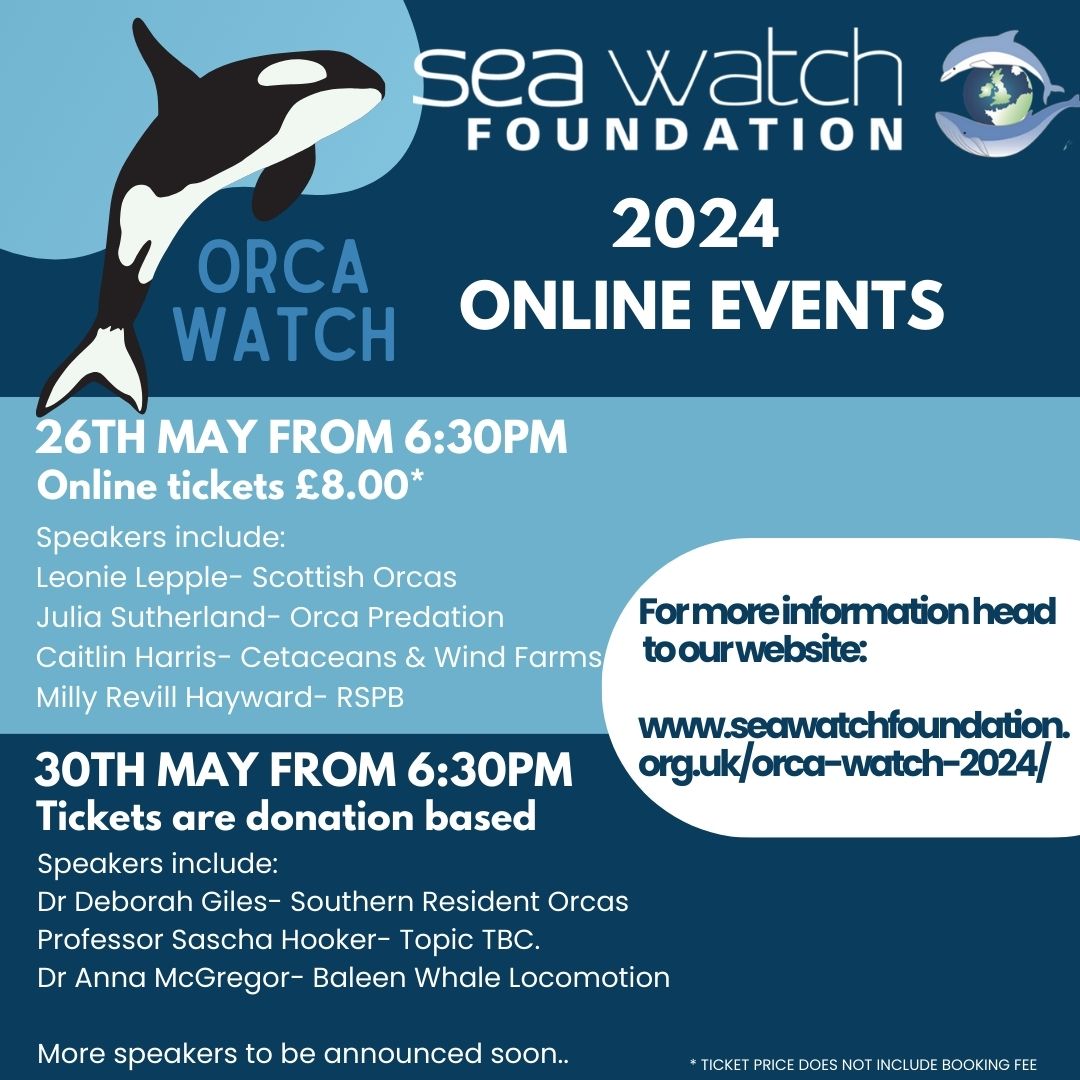 We are excited to announce that this year we will be hosting two online events for Orca Watch 2024. So if you are unable to attend Orca Watch in person there is still a way to be involved! 🐬 Tickets can be booked here: seawatchfoundation.org.uk/orca-watch-202…