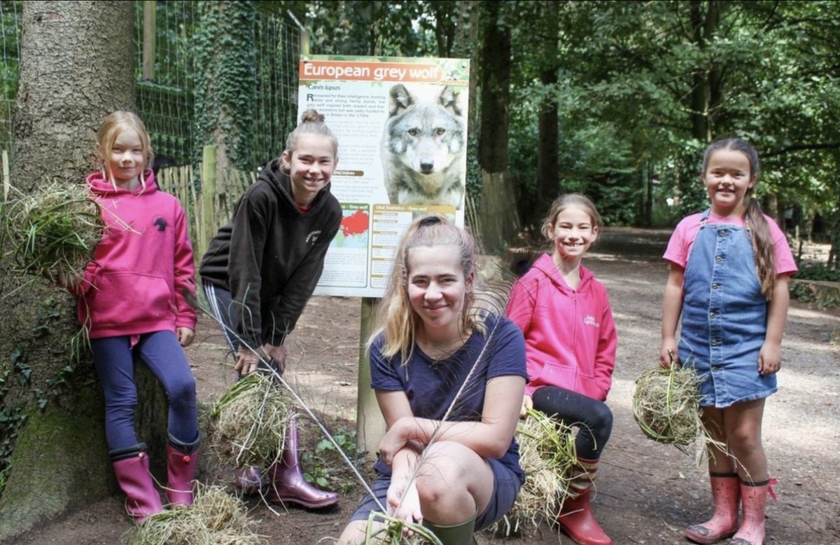 Junior Zoo Keeper - Saturday 25th May Half Term 🤗 After a sell out Easter, we've got just 3 spaces available for our Junior Zoo Keeper experience this May. Secure your spaces today 👇 shop.wildwoodtrust.org/devon-tickets-… #wildwooddevon #wildwoodtrust #devon #mayhalfterm