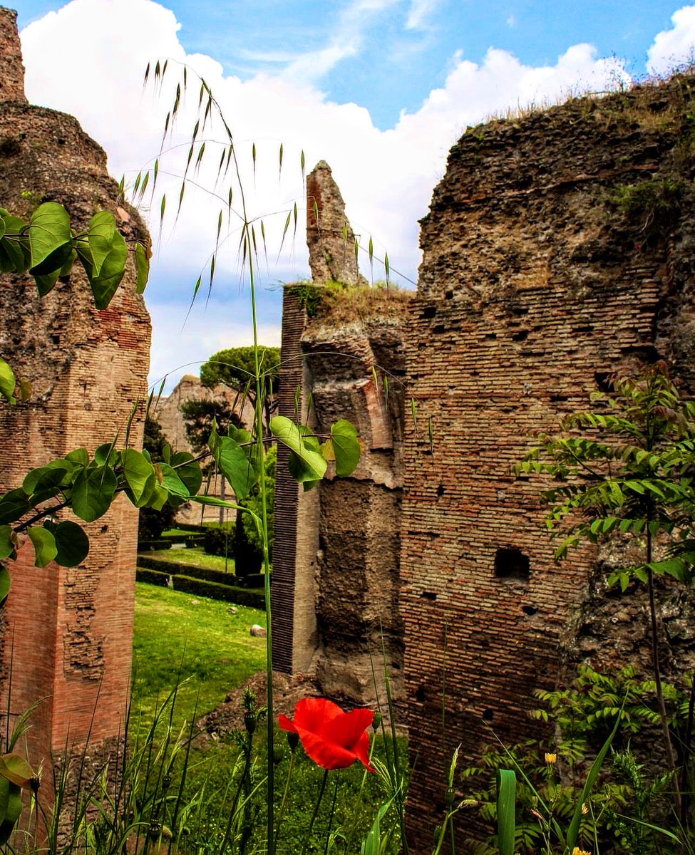 Il fascino dei ruderi invasi dalla natura
#Roma Terme di Caracalla