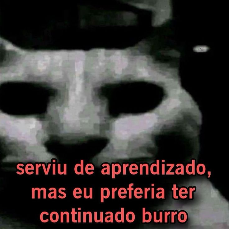 Terror do Cotidiano tweet media