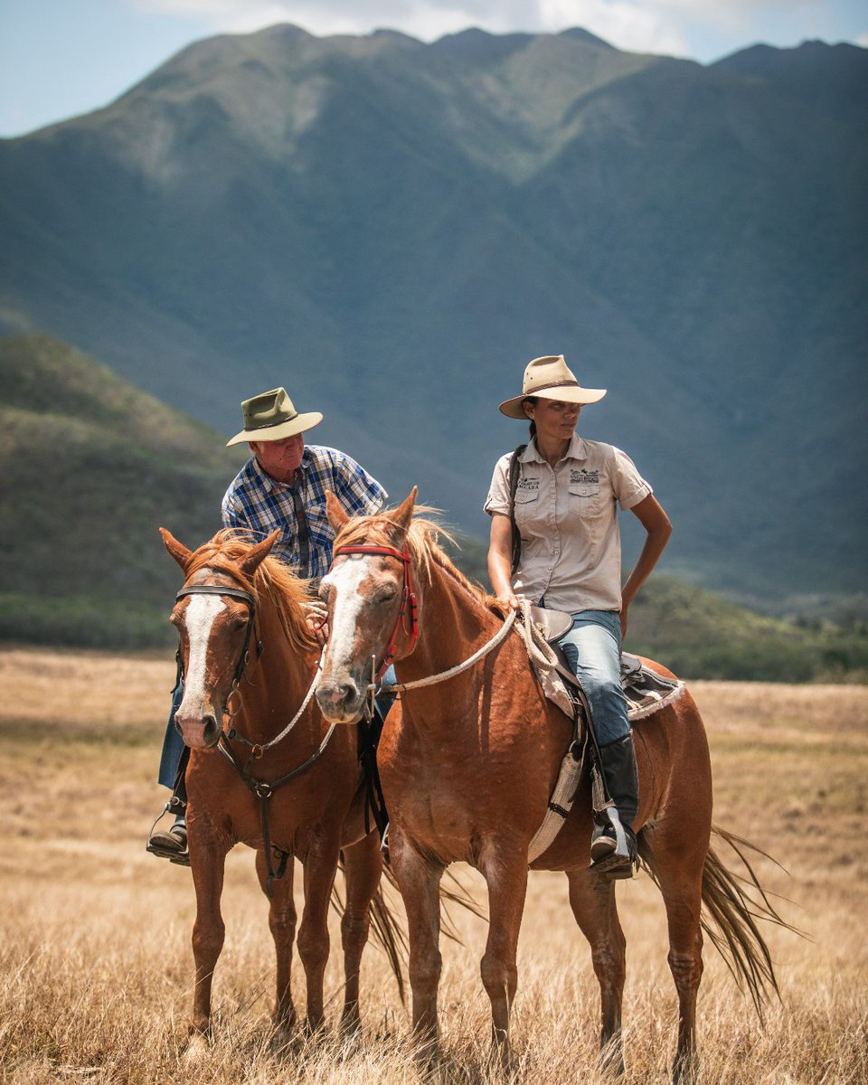 Donnez une toute autre dimension à votre voyage et partez à la découverte de la Côte Ouest à cheval avec les Broussards !🌄🐴

📸  The Explorers

#NouvelleCaledonie #VoyagezAvecLeCoeur #NewCaledonia