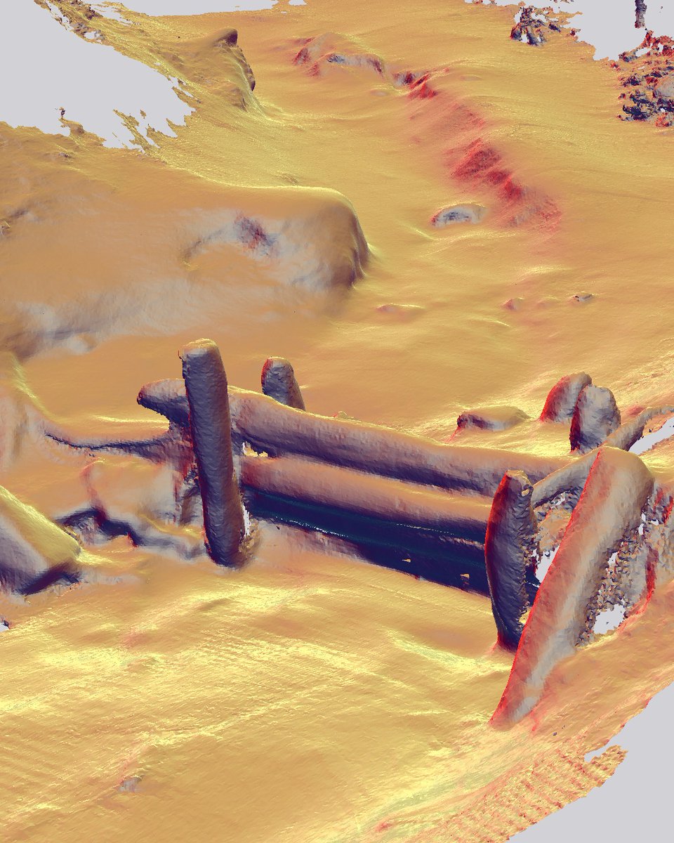 Tomas Galia tweet media