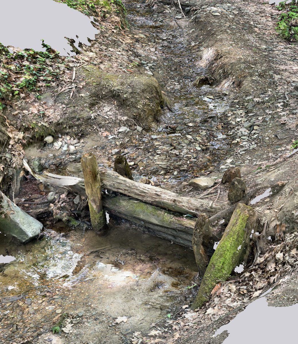 Tomas Galia tweet media