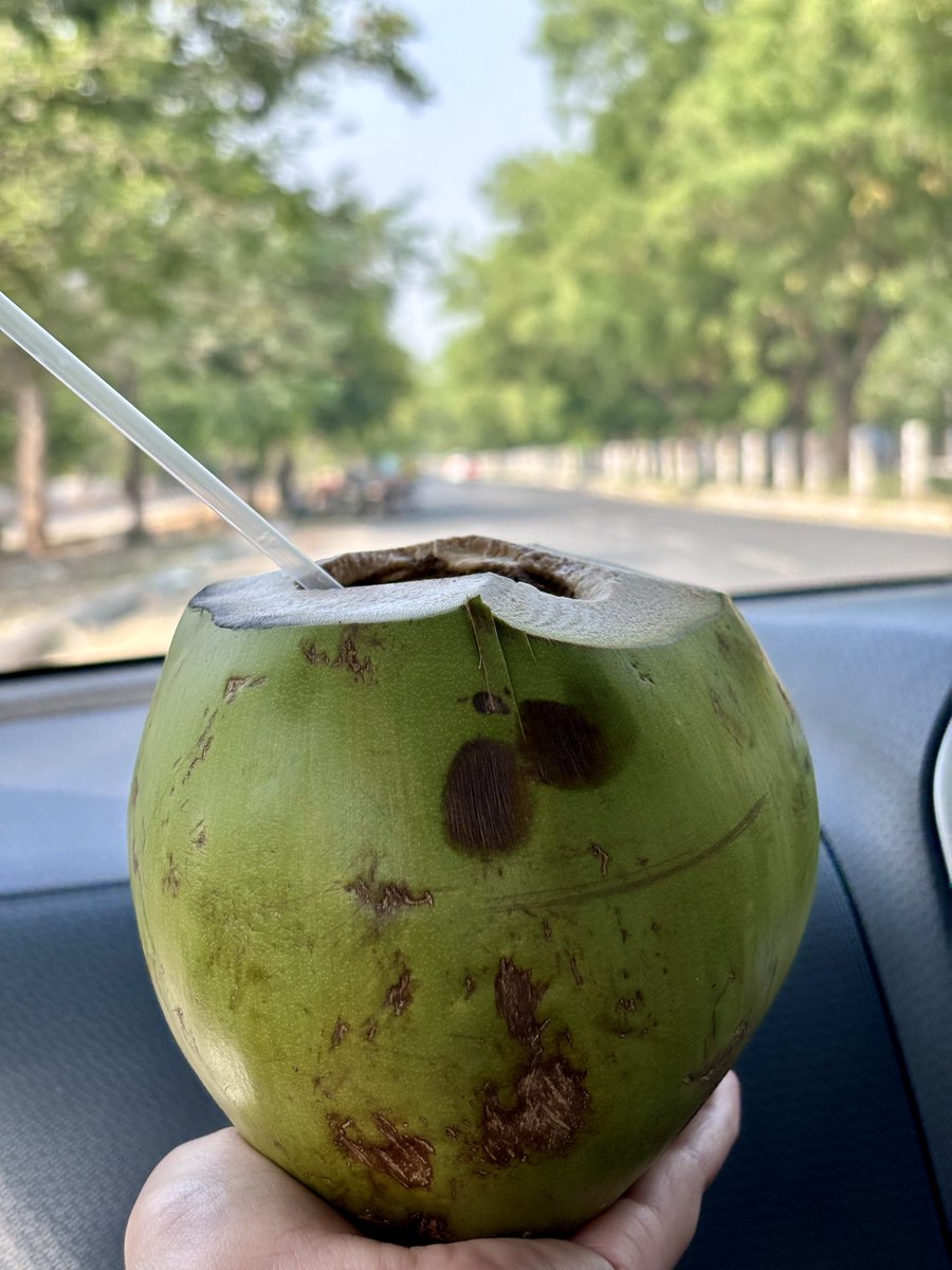 🌴🥥 Never miss a day