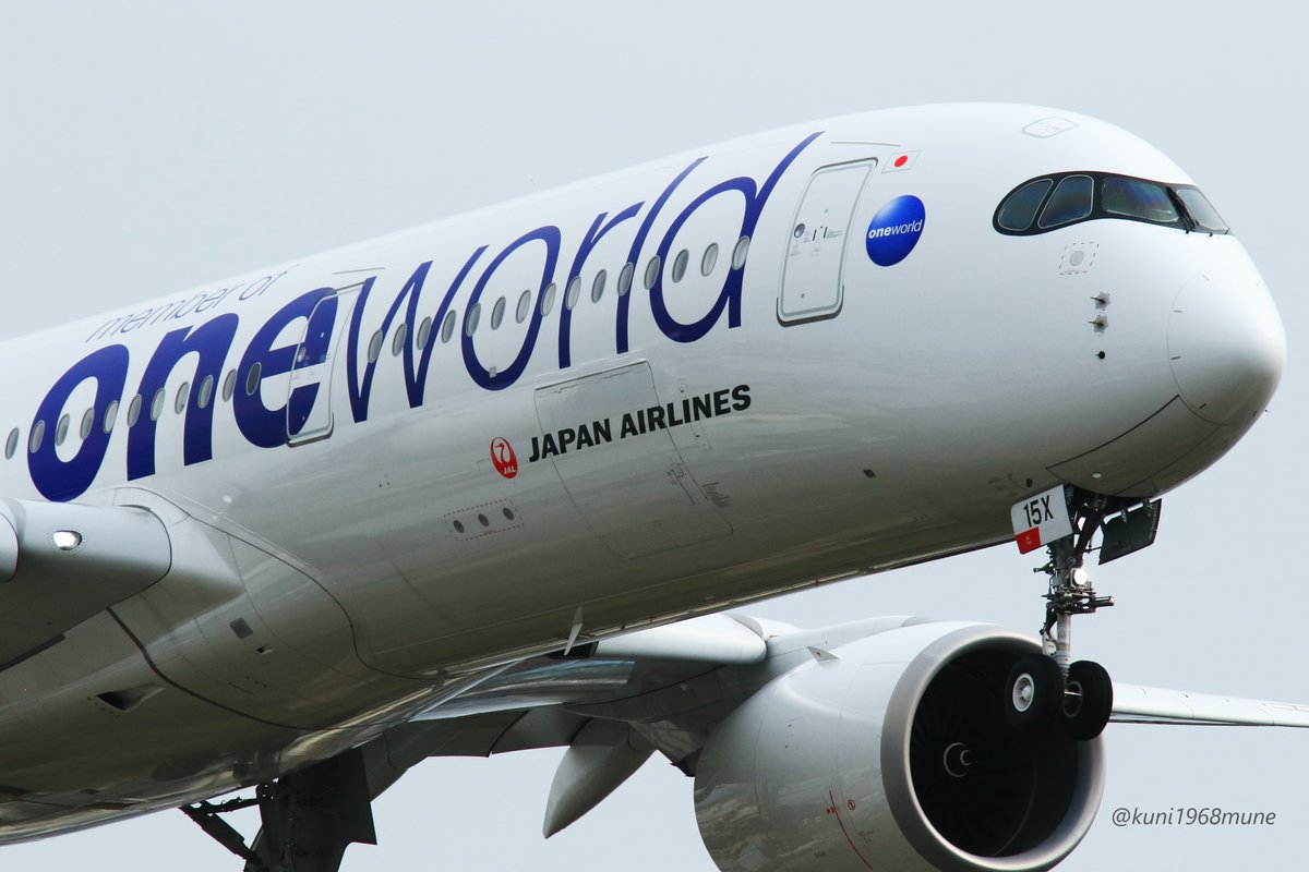 #JAL  #oneworld