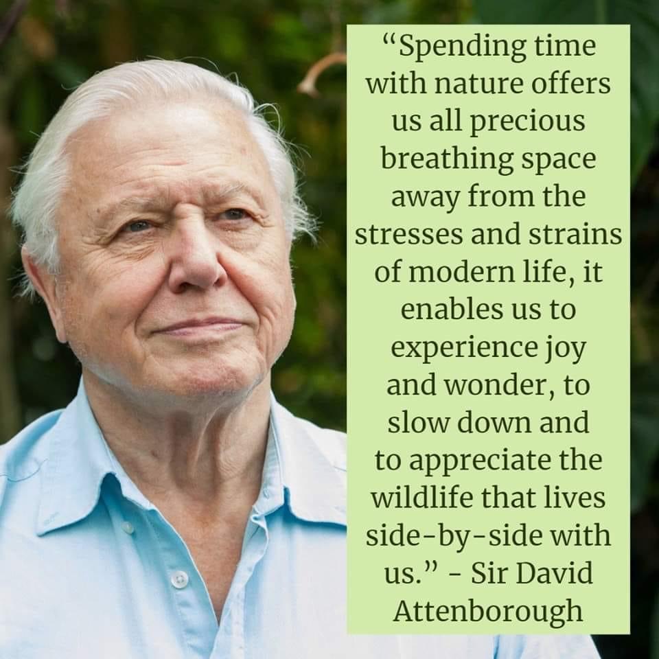 A very happy 98th birthday to the legend that is #SirDavidAttenborough 
A man passionate about the natural world & the benefits it affords 
He’s done much to inspire others to care for it, whilst reminding that we are responsible both for its devastation but also it’s survival💚
