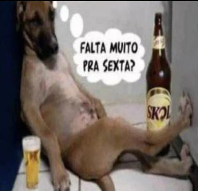 cachorro (@cachorrocore) on Twitter photo 