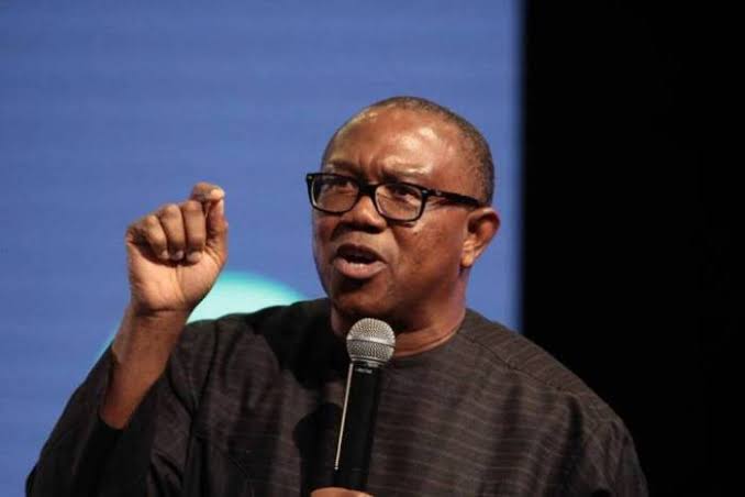 'You cannot tax unemployed people' ~ Peter Obi Tackles the government. As far as I'm concerned Tinubu is most dummy President in the whole world together with all his Minister's. The only agenda he has is to STEAL, KILL AND DESTROY #TinubuMustGo