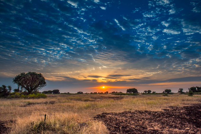 Experience the enchantment of a sunrise game drive in Queen Elizabeth National Park. #VisitUganda #ExploreUganda