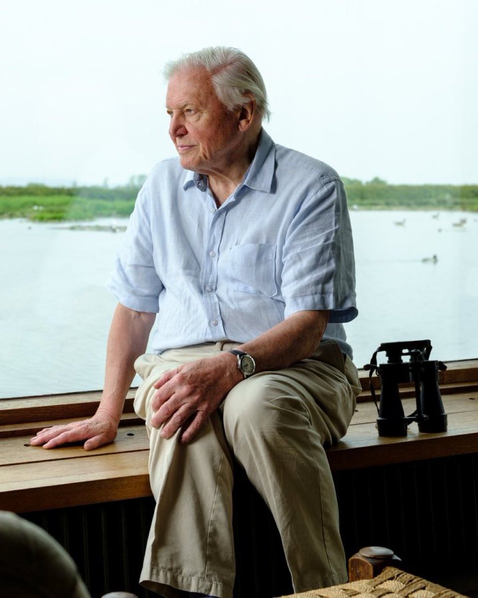 Happy birthday, David Attenborough! 📷 Remember to add alt text to your celebrations. It's easy to do: hen you upload your image, click 'add image description', describe your image, including all copy, and save!