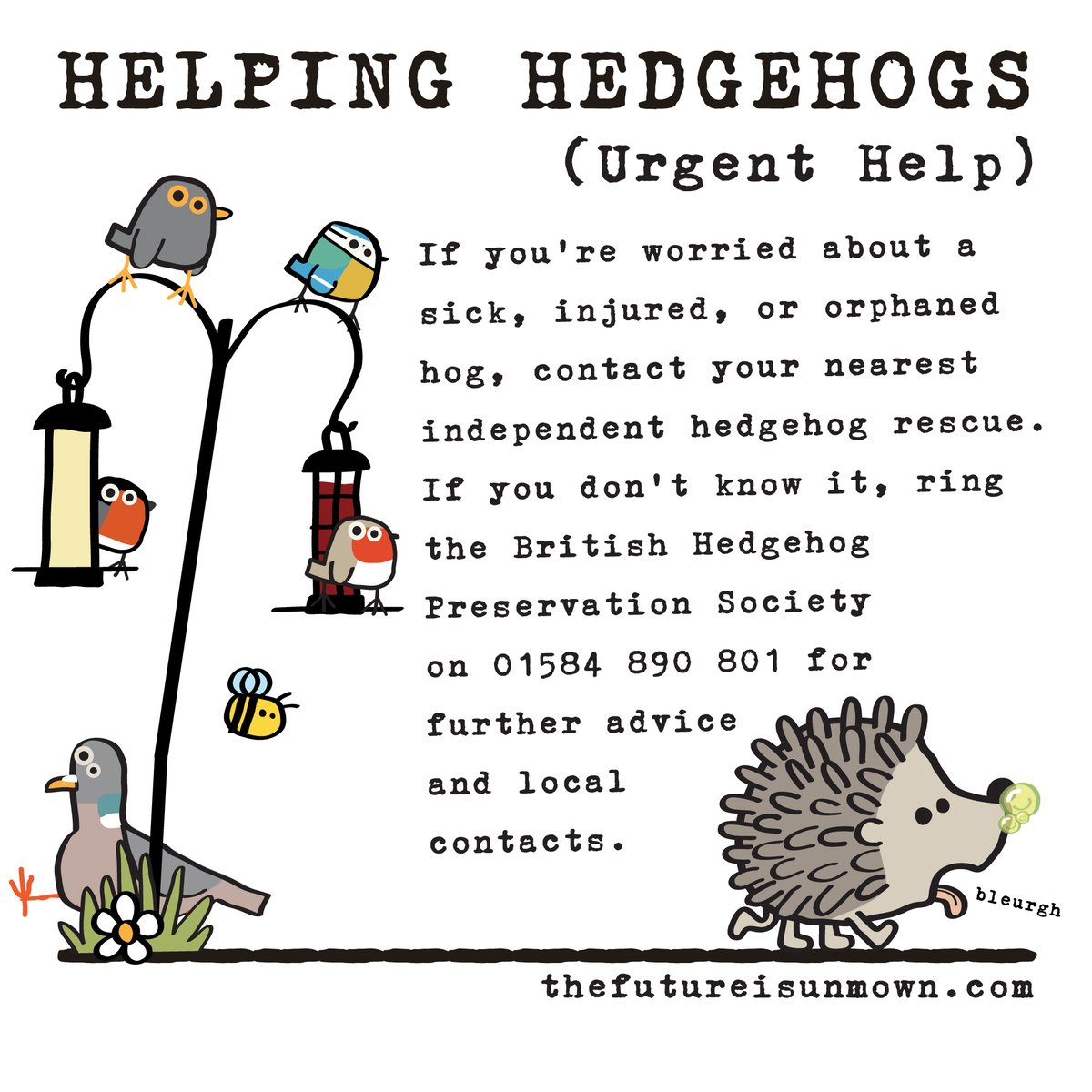 Good to know just in case 🦔💚 #hedgehogweek #HedgehogAwarenessWeek #helpinghedgehogs #hedgehog #hedgehogrescue #wildlife #wildlifegarden #thefutureisunmown