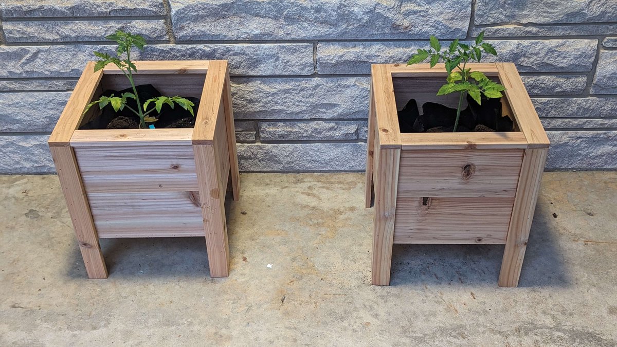 gamerscircle360's tweet image. We have planted Big Boy tomatoes in the planters, now we just wait.   #diy #cedarplanter #tomato #tomatoes