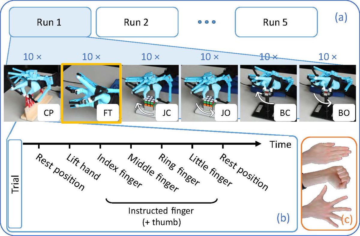 This Wednesday’s #ArticlesInPress is Age-related differences in finger interdependence during complex hand movements Lisa Klemm, et al. ow.ly/Xj6S50Rv2cG #JAPPL