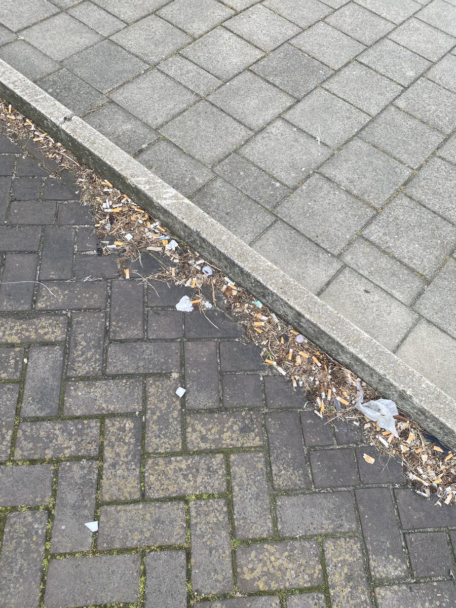 Hoi <a href="/albertheijn/">Albert Heijn</a> ik zie dat er erg veel peuken op jullie terrein in De Lier liggen. Naast dat dit geen visitekaartje is, is dit ook erg slecht voor het milieu. #peukmeuk #wldebat <a href="/GemWestland/">Gemeente Westland</a>