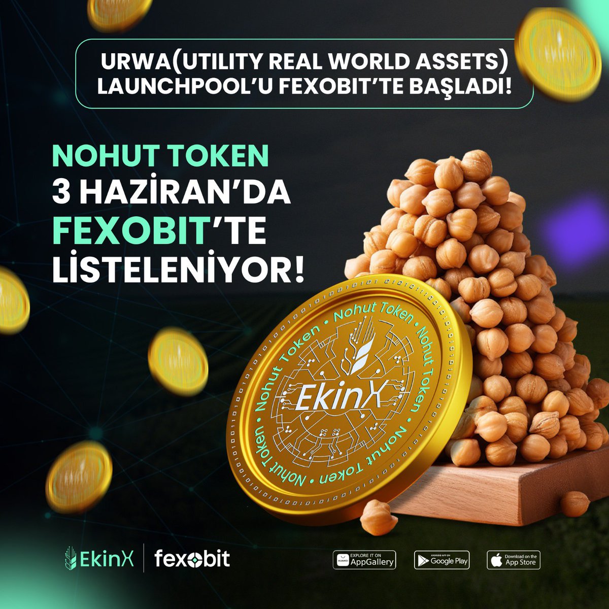 Nohut Token 3 Haziran’da listeleniyor! #EkinX @Ekinxio 💜