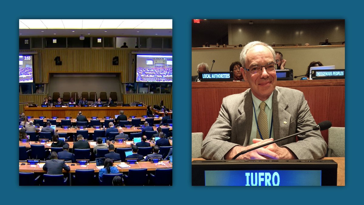How can science & information change the behavior of producers & consumers? Join #UNFF19 #CPF dialogue on achieving global forest goals, Thu 9 May 2024, 3:00-5:30pm EDT + listen to IUFRO President Parrotta’s reply! webtv.un.org/en/asset/k1l/k… #ScienceAndTreesForSDGs #UNForests