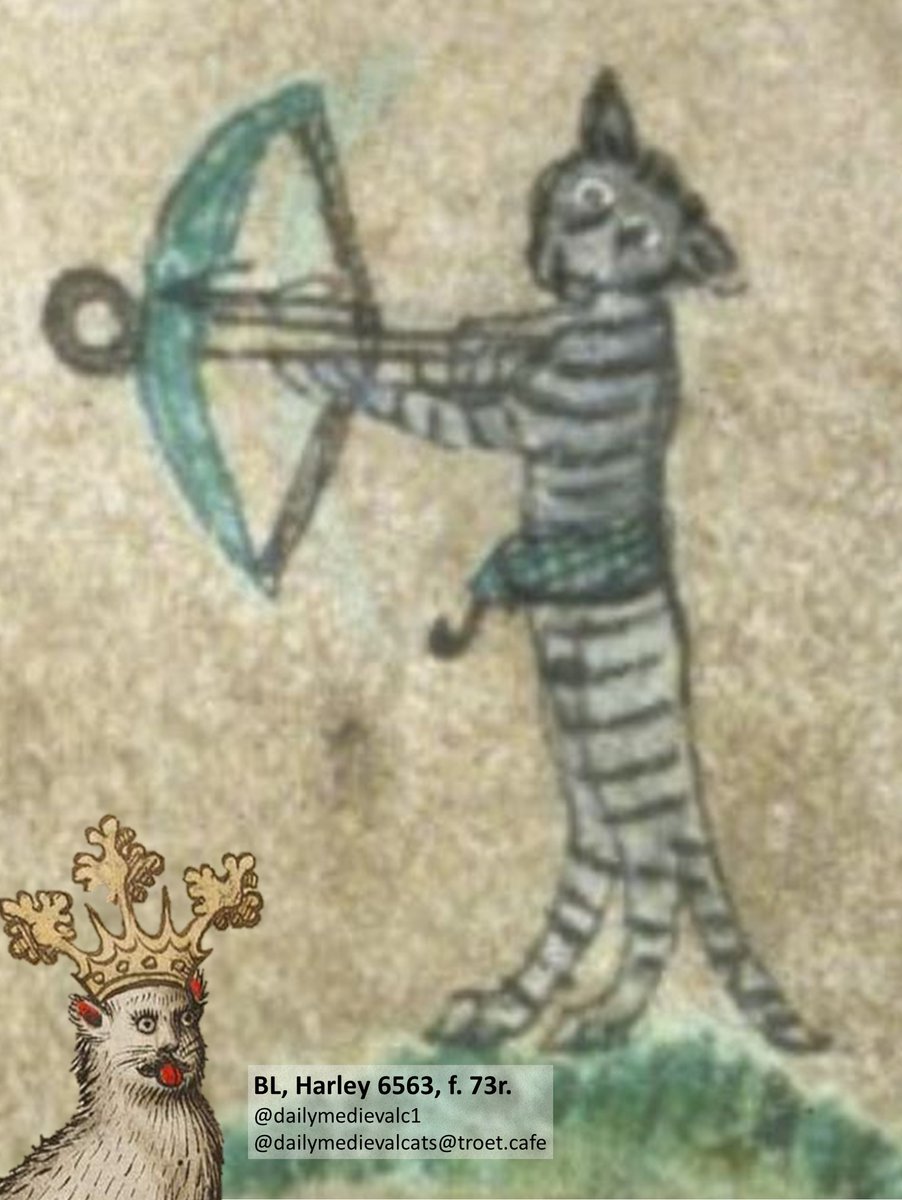 Armed and dangerous.

Ms: BL, Harley 6563, f. 73r (14th c.). #medievalcat #medievaltwitter