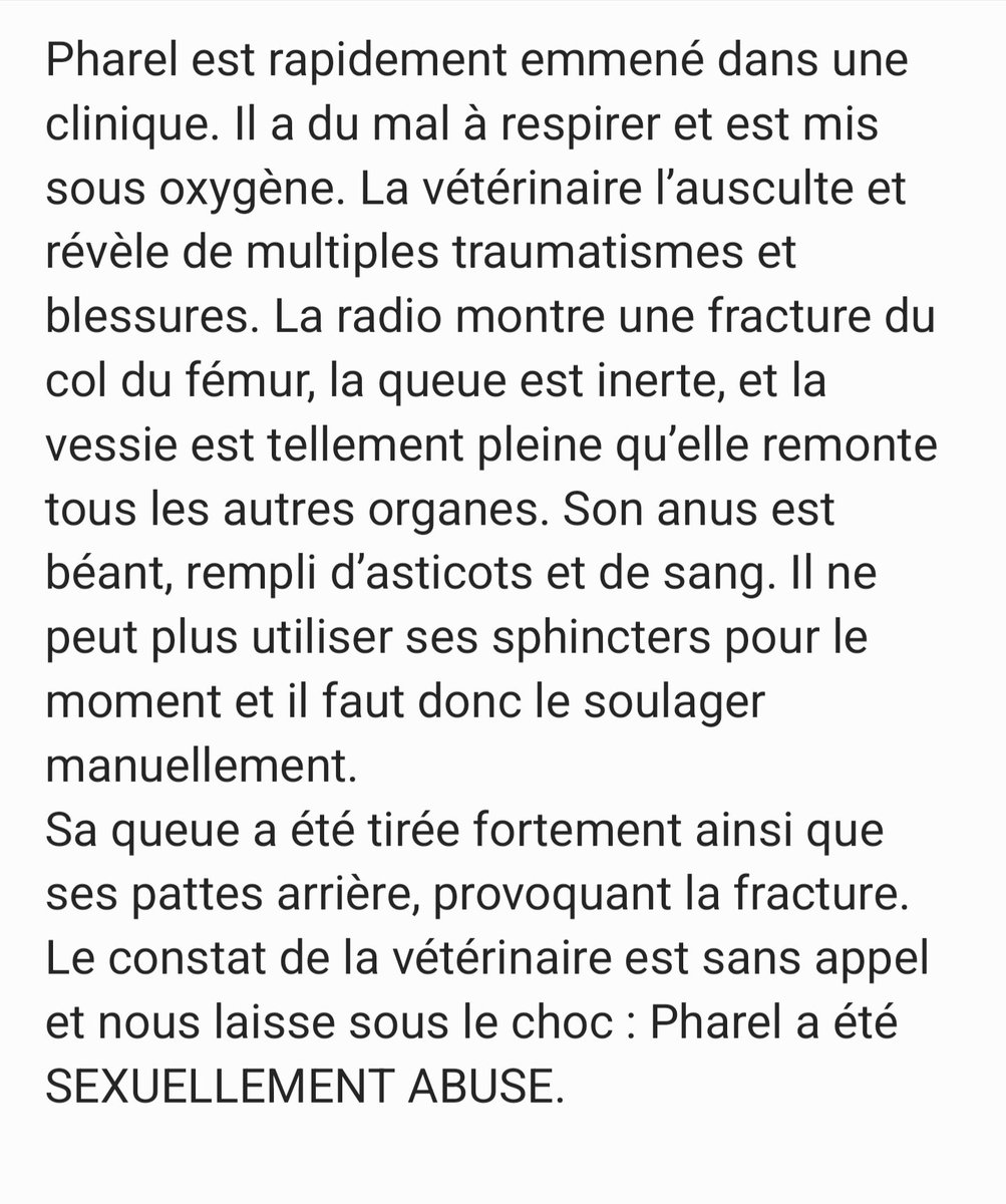 AdeaClaude's tweet photo. HORRIBLE 😡 😡 😡 😡 
Encore un cas qui relève d'un gros désordre mental ( je préfère me taire sinon je vais finir derrière les barreaux). 
Tant que la justice sera aussi laxiste rien ne changera.
Aujourd'hui un chaton de 4 mois abusé sexuellement et demain ? https://t.co/KmWBtNVpRG