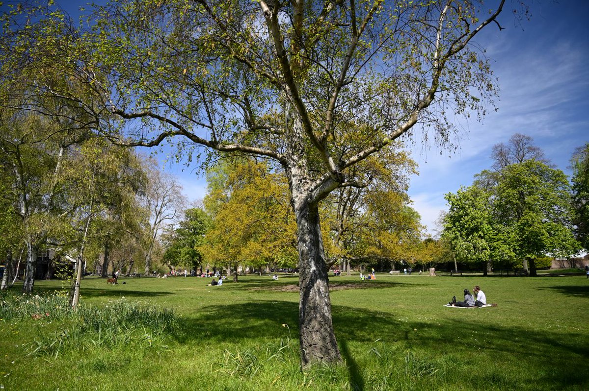 BCA4Barnes's tweet photo. We’ve booked today’s weather for this year’s Barnes Fair on 13 July! The event is full up with wonderful exhibitors &amp; a full line up of local bands, music, sport &amp; dance groups &amp; new Punch &amp; Judy shows for all the fun of (Barnes) Fair…..#lovebarnes #bcaevent https://t.co/c3bso2Sty4