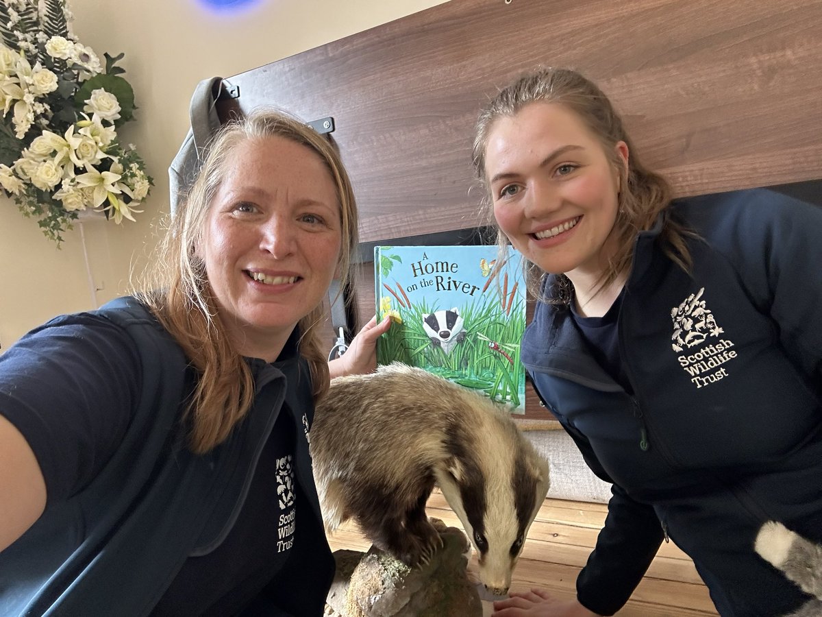An absolute delight celebrating #scottishbadgerweek2024 with 35 preschool children and Lanark library. Telling stories, discovering nature and badger crafts. Brocktastic @LibrariesSL #natureconnection #badgers