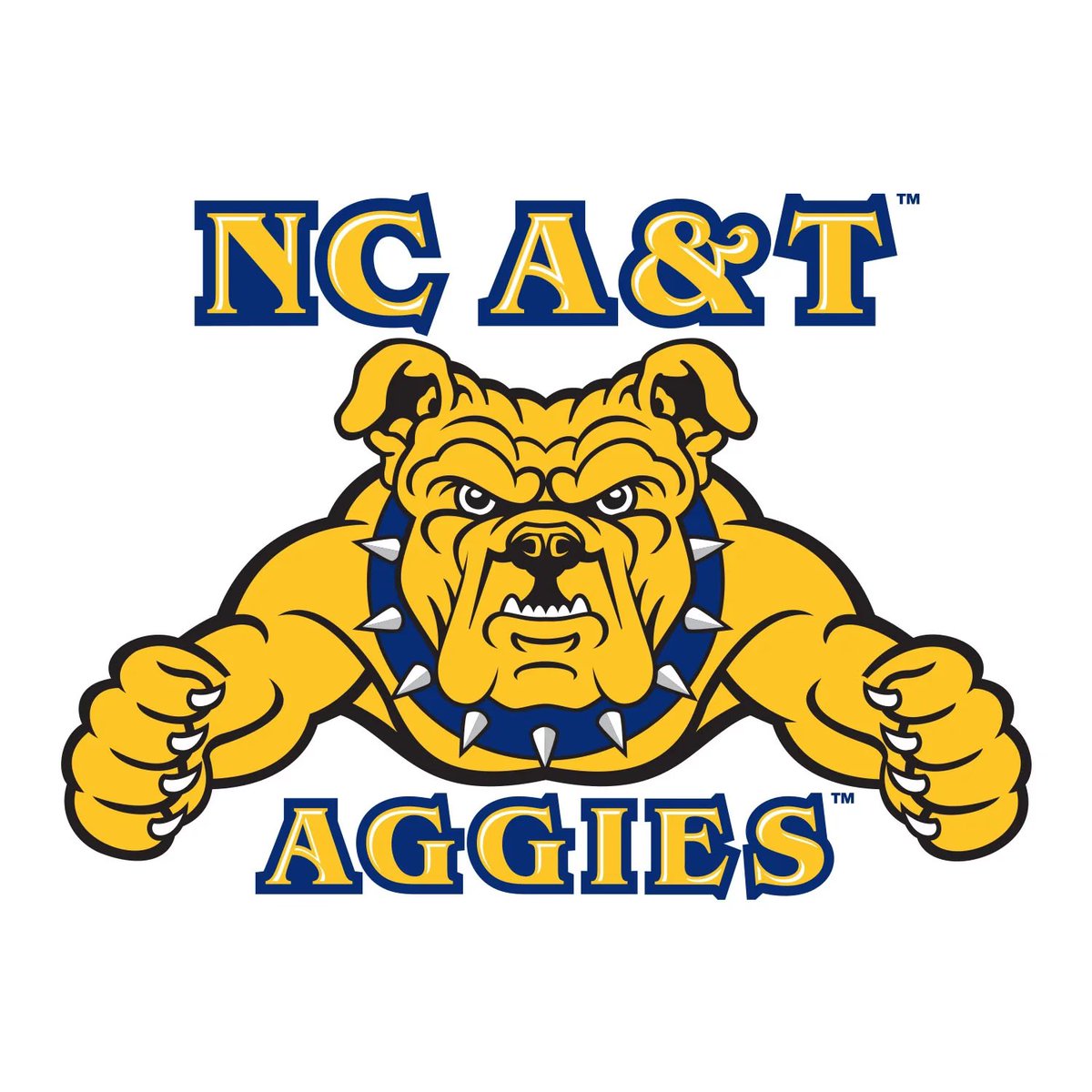Blessed and honored to receive my First D1 offer from North Carolina A&T

#aggiepride

@FBCoachBankins @Coach_Mattes @NCATFootball 

@GainesvilleFoo1 @CoachBruton @MDuda57 @BigBrown90 @C_ROCK53