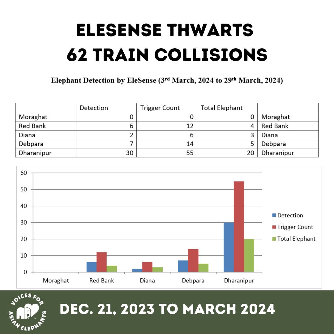 Our EleSense device, born from indigenous genius, has thwarted a whopping 62 train collisions, potentially saving countless elephant lives from Dec '23 to Mar '24! 🙏🙌 #share ❗️ Help us save the elephants: globalgiving.org/projects/elese…