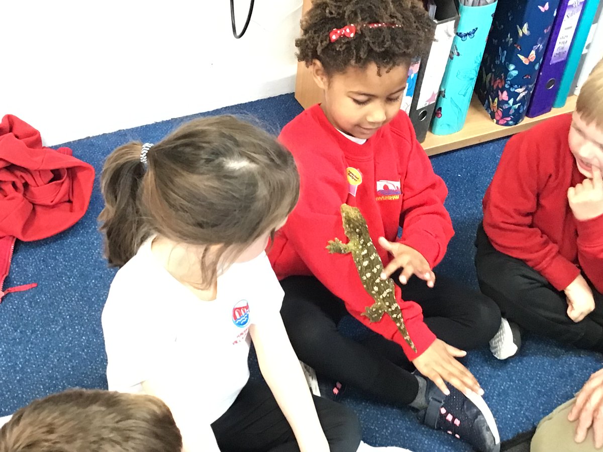 HavershamSchool's tweet photo. Rabbits class enjoyed a fantastic visit from @ZooLabUK this morning. They had lots of fantastic questions about the animals and loved handling them. https://t.co/nnUL4PLmWq