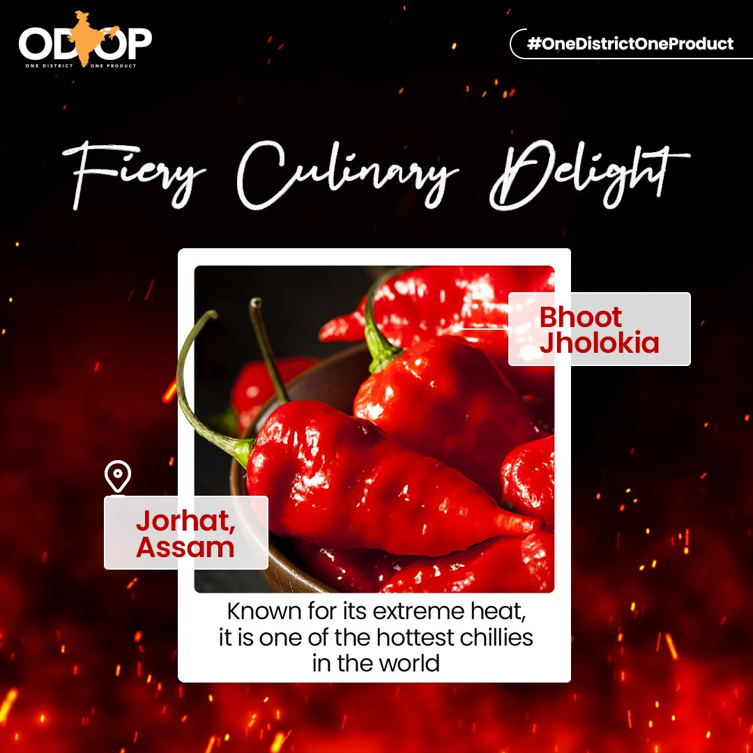 Discover the ‘Ghost Pepper’ from Jorhat, #Assam - #BhootJholokia. Renowned for its fiery heat, it elevates regional cuisines with its flavour-packed punch.

Explore more at: bit.ly/II_ODOP

#InvestInIndia #ODOP #InvestInAssam #InvestIndia #OneDistrictOneProduct #Spices