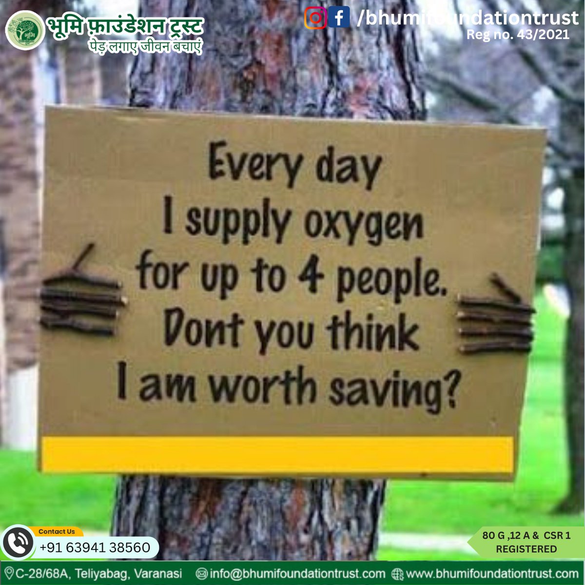 पेड़ों को बचाओ, वे हमें ऑक्सीजन प्रदान करते हैं
जुड़िए भूमि फाऊंडेशन ट्रस्ट से :
bhumifoundationtrust.com

#saveenvironment #bhumifoundation #airpollution #savetree #savefuture #save #pollutionfreeindia