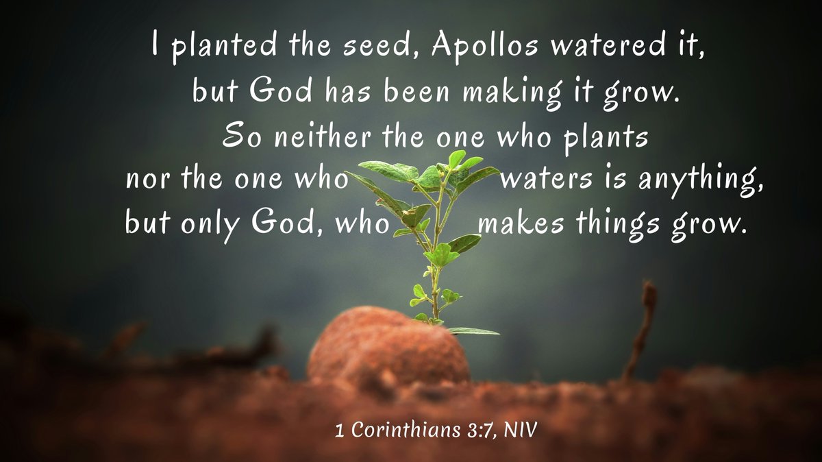 I planted the seed, Apollos watered it, but God has been making it grow. So neither the one who plants nor the one who waters is anything, but only God, who makes things grow. (1 Corinthians 3:7, NIV)